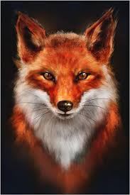 Profilo di Mouhammad