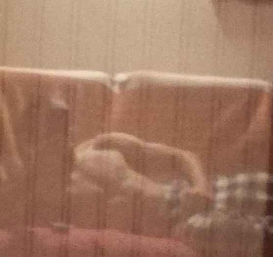 Profilo di Abdoul-aziz